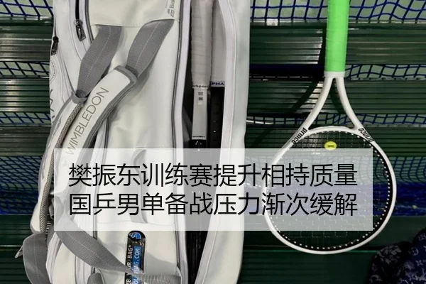 樊振东训练赛提升相持质量 国乒男单备战压力渐次缓解