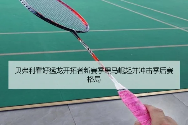 贝弗利看好猛龙开拓者新赛季黑马崛起并冲击季后赛格局